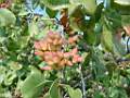 DSC00138.JPG