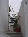 Dsc00210.jpg