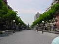 DSC00073.JPG