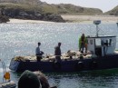 DSC00090 * Sheep ship * 614 x 461 * (256KB)