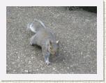 CIMG1243a * Mais il va me bouffer les pieds !!!!!! * 800 x 600 * (393KB)