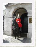 CIMG1321 * Horse Guard * 600 x 800 * (386KB)