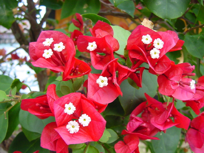 DSC00197