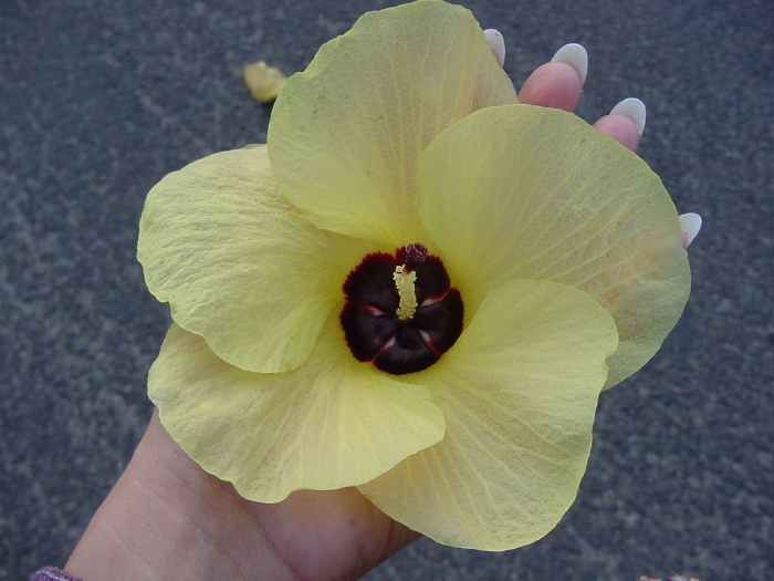 DSC00257