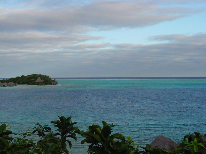 DSC00261