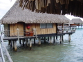 DSC00195
