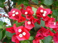 DSC00197