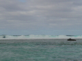 La barrière de corail