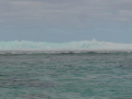 DSC00231