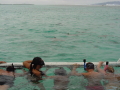 DSC00233