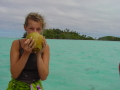 Une noix de coco