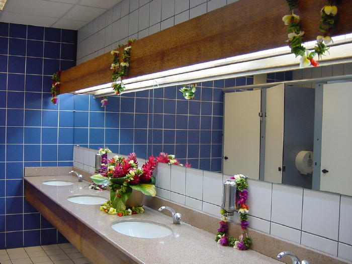 Aéroport de Moorea