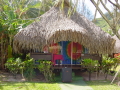 DSC00048