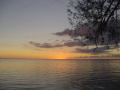 DSC00076