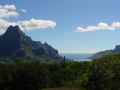 Baie de Cook, vue du Belvédère