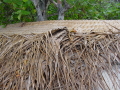 DSC00146